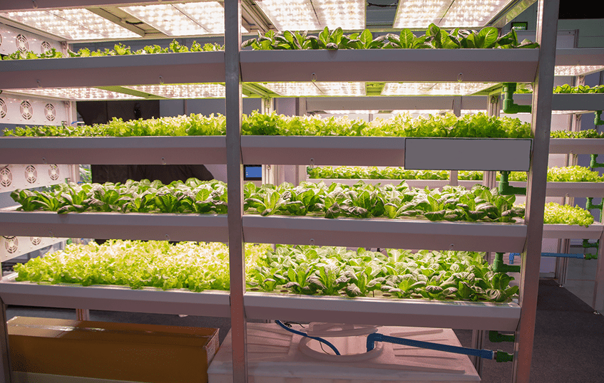 What are the types of vertical farming systems?
